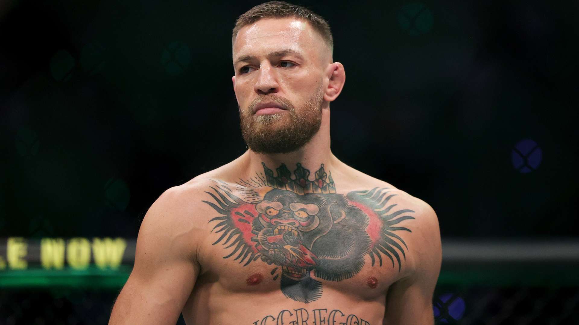 而且在艺术 而且在艺术