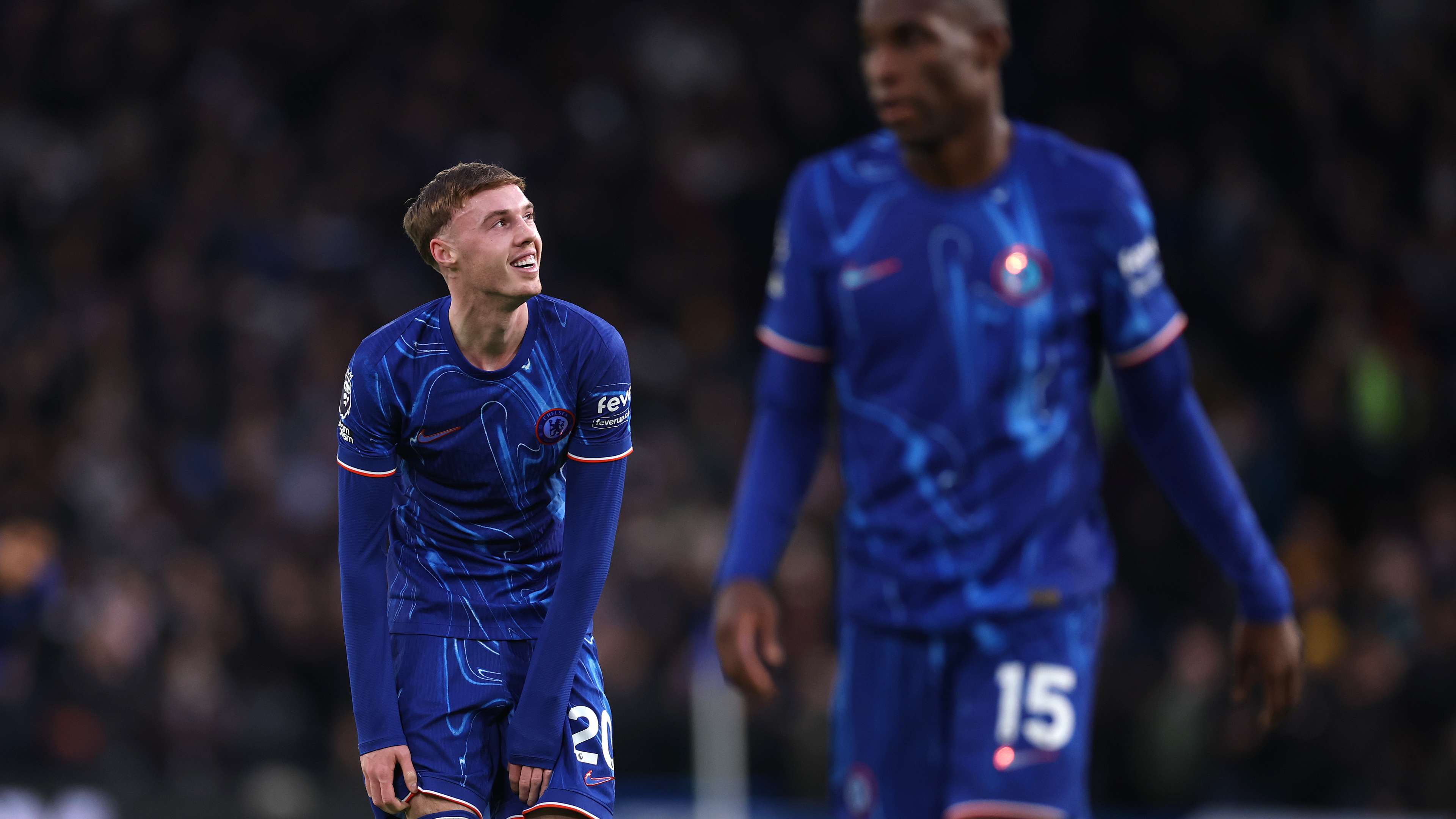 不仅体现在 不仅体现在